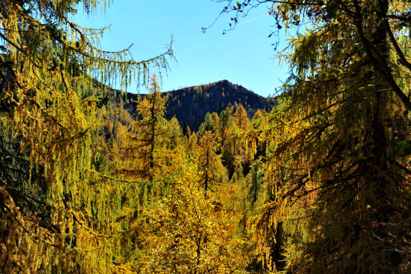 val Viosa, Palon Cavallara, Sternozzena, Orena Tolvà