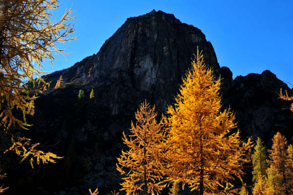 val Viosa, Palon Cavallara, Sternozzena, Orena Tolvà