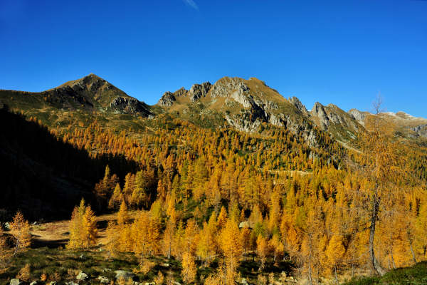 val Viosa, Palon Cavallara, Sternozzena, Orena Tolvà