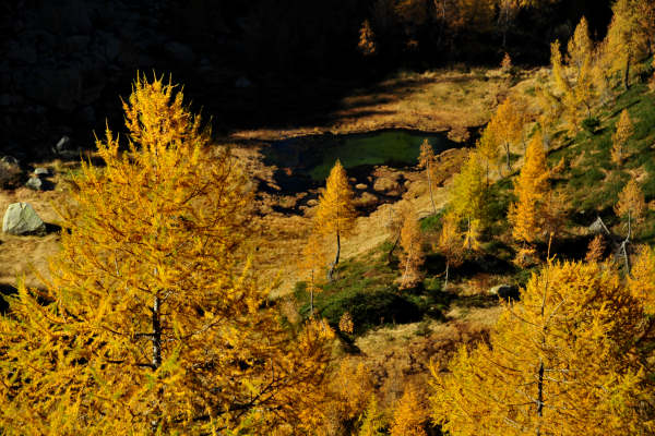 val Viosa, Palon Cavallara, Sternozzena, Orena Tolvà