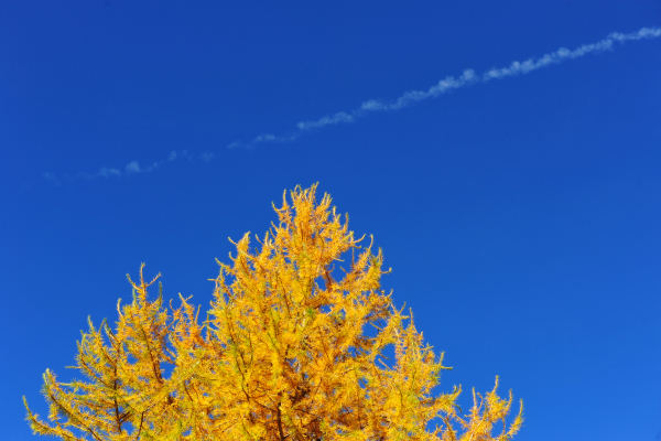 val Viosa, Palon Cavallara, Sternozzena, Orena Tolvà