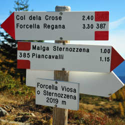 forcella Viosa Sternozzena, Orena Tolvà