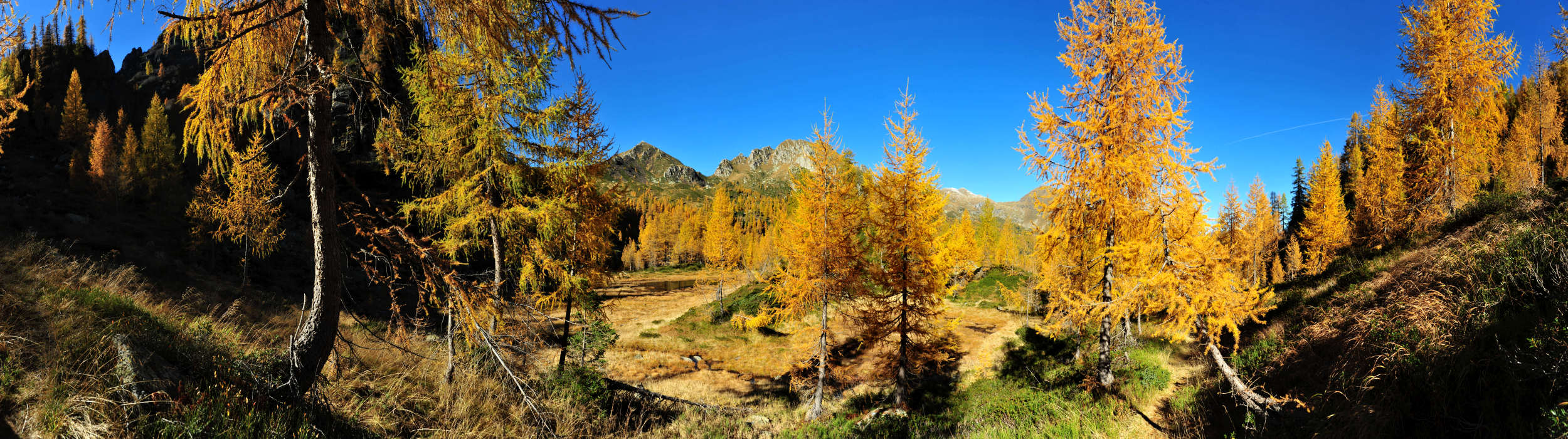 Lagorai, Brocon, Cavallara Col del Boia
