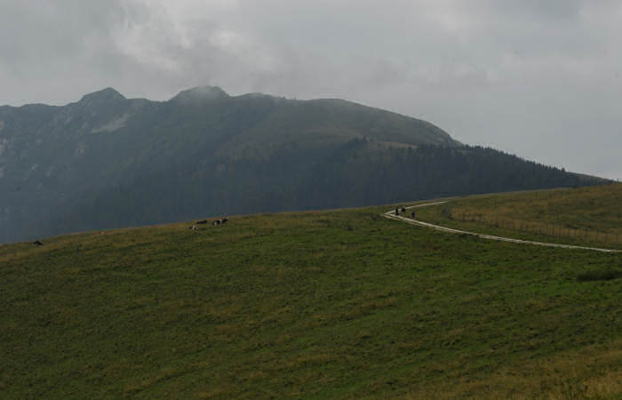 salita al monte Coppolo dal passo del Brocon
