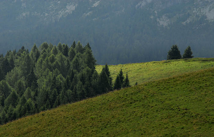salita al monte Coppolo dal passo del Brocon