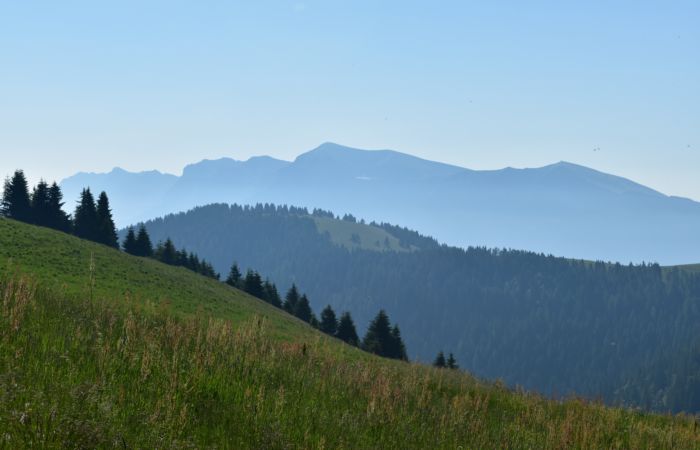 Lagorai, passo Brocon, Sentiero dei Fiori al Col del Boia