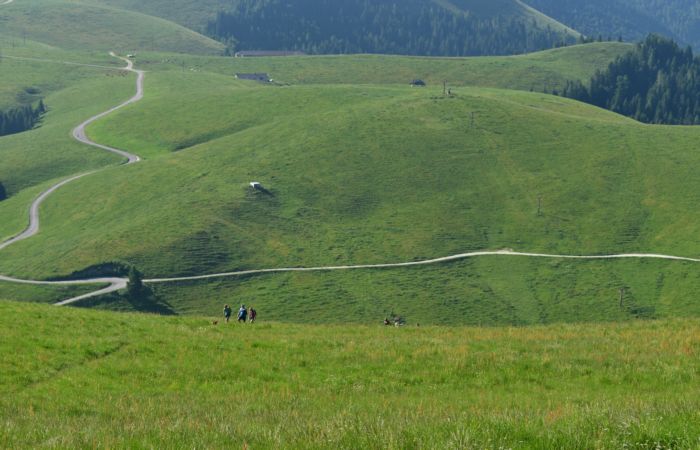 Lagorai, passo Brocon, Sentiero dei Fiori al Col del Boia