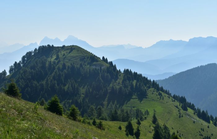 Lagorai, passo Brocon, Sentiero dei Fiori al Col del Boia