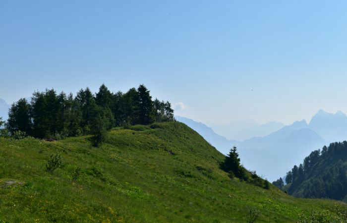 Lagorai, passo Brocon, Sentiero dei Fiori al Col del Boia