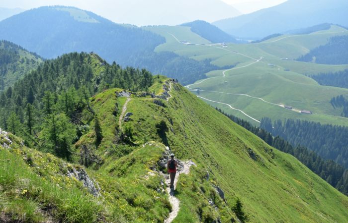 Lagorai, passo Brocon, Sentiero dei Fiori al Col del Boia