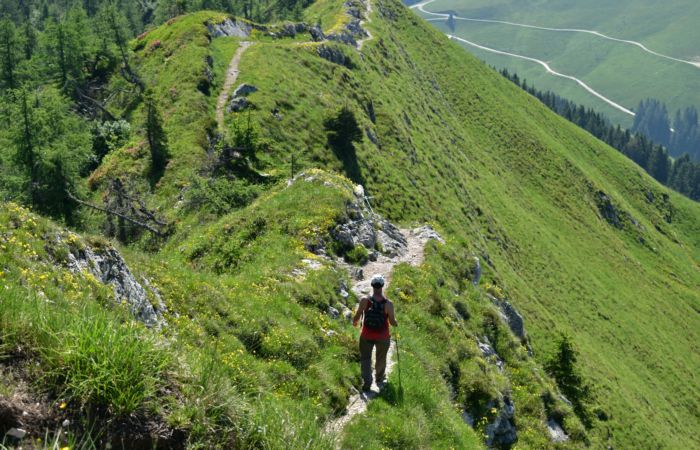 Lagorai, passo Brocon, Sentiero dei Fiori al Col del Boia