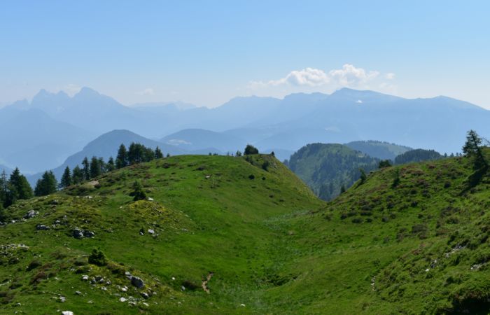 Lagorai, passo Brocon, Sentiero dei Fiori al Col del Boia