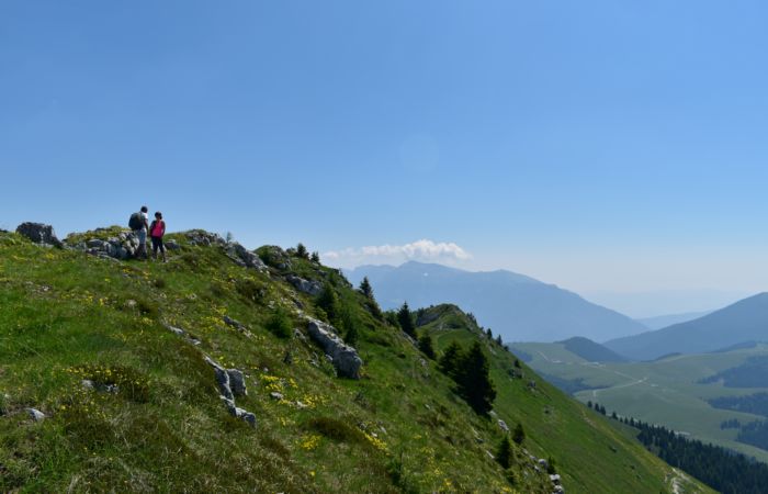 Lagorai, passo Brocon, Sentiero dei Fiori al Col del Boia