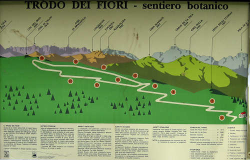 Trodo dei Fiori, sentiero botanico al passo Brocon, Castello Tesino