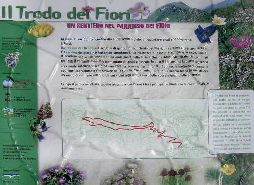 Trodo dei Fiori, sentiero botanico al passo Brocon, Castello Tesino