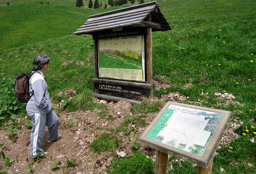 Sentiero botanico dei fiori al passo Brocon, Lagorai