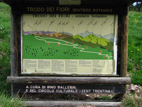 Sentiero botanico dei fiori al passo Brocon, Lagorai