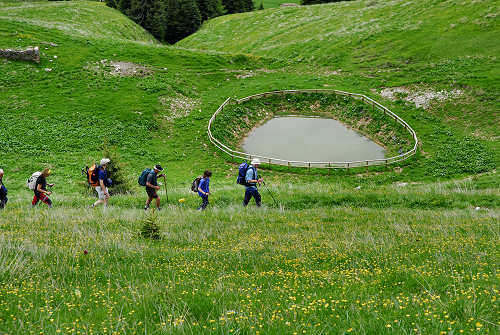 Sentiero botanico dei fiori al passo Brocon, Lagorai