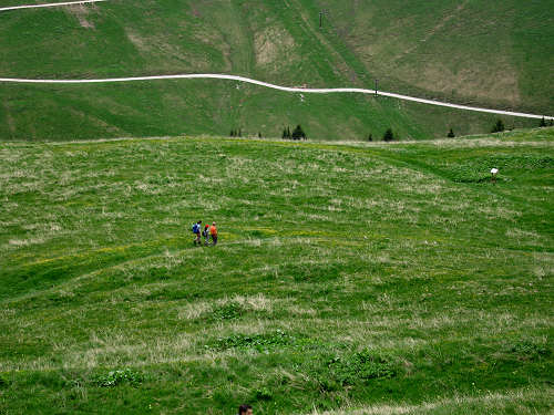 Sentiero botanico dei fiori al passo Brocon, Lagorai