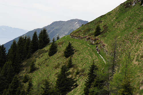 Sentiero botanico dei fiori al passo Brocon, Lagorai