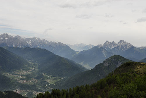 Sentiero botanico dei fiori al passo Brocon, Lagorai