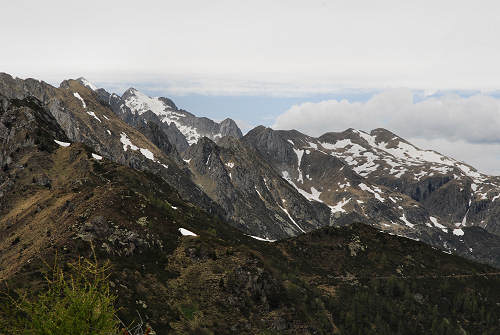 Sentiero botanico dei fiori al passo Brocon, Lagorai