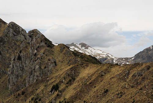 Sentiero botanico dei fiori al passo Brocon, Lagorai