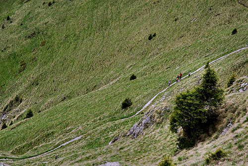 Sentiero botanico dei fiori al passo Brocon, Lagorai