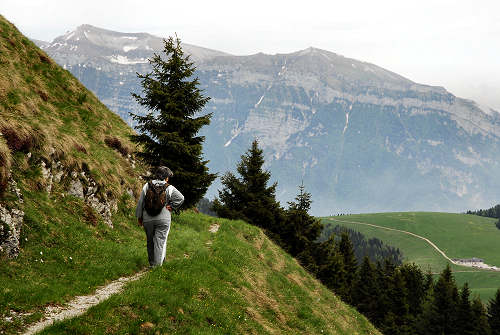 Sentiero botanico dei fiori al passo Brocon, Lagorai