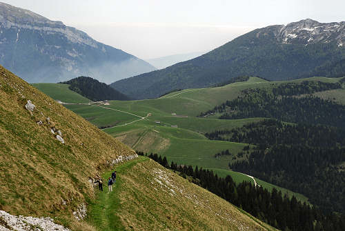 Sentiero botanico dei fiori al passo Brocon, Lagorai