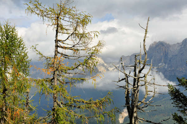 lago di Calaita, Col Santo