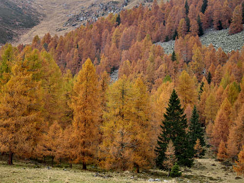 lago di Calaita - Lagorai, valle Vanoi Lozen