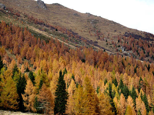 lago di Calaita - Lagorai, valle Vanoi Lozen