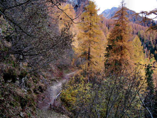 lago di Calaita - Lagorai, valle Vanoi Lozen