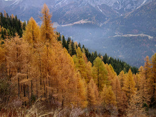 lago di Calaita - Lagorai, valle Vanoi Lozen