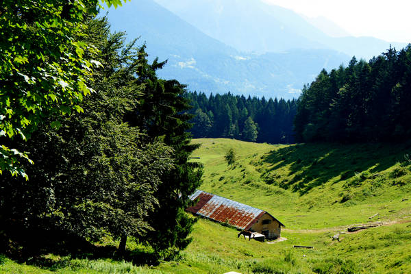 monte Lefre, monte Mezza, Tesino Bike