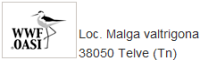 Oasi WWF Valtrigona