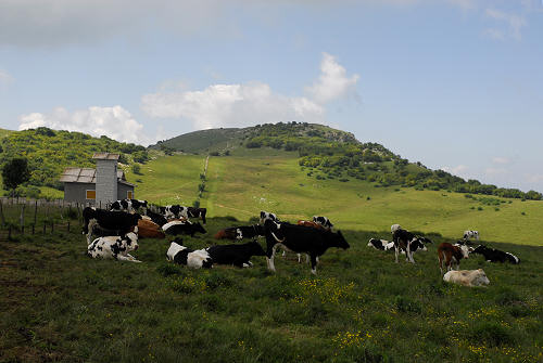Corno d'Aquilio, Fosse di Sant'Anna d'Alfaedo - Lessini, Montagna Veronese