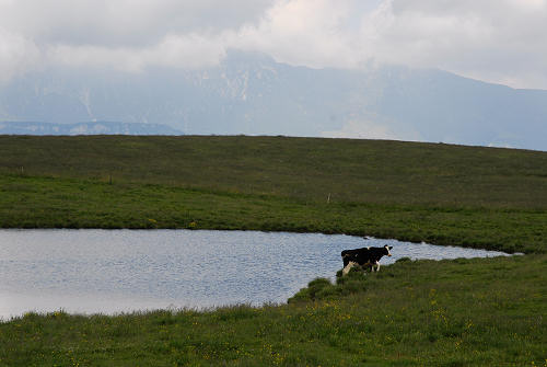 Corno d'Aquilio, Fosse di Sant'Anna d'Alfaedo - Lessini, Montagna Veronese