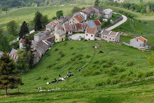 Campofontana, Cima Lobbia