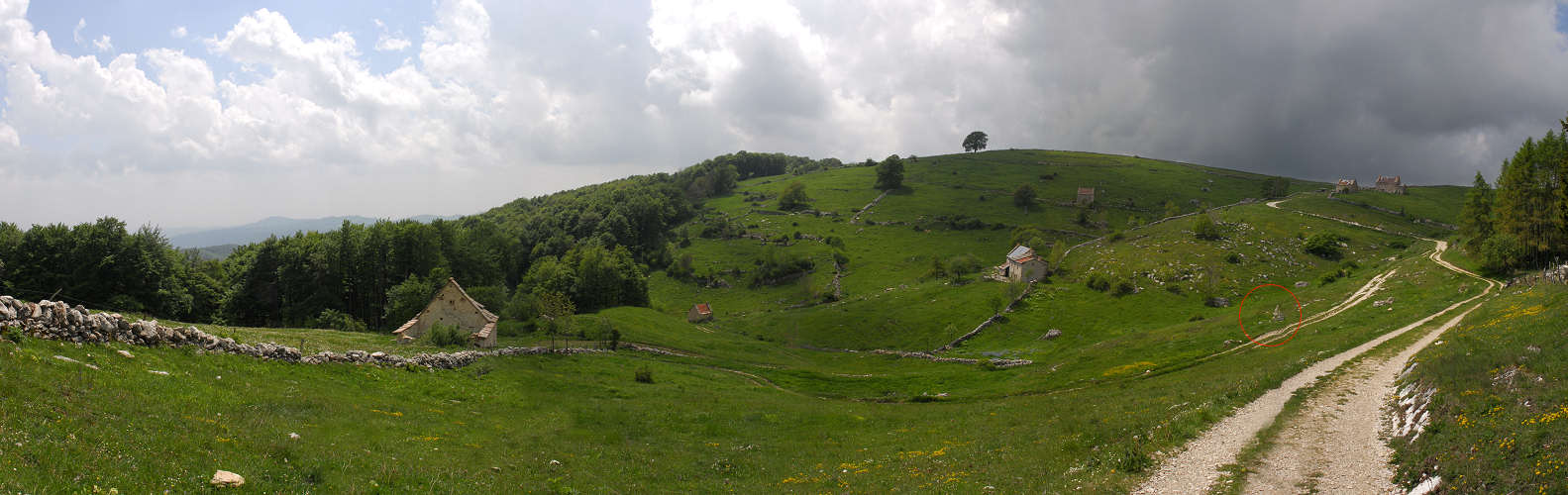 Madonna della Lobbia a Campofontana di Selva di Progno