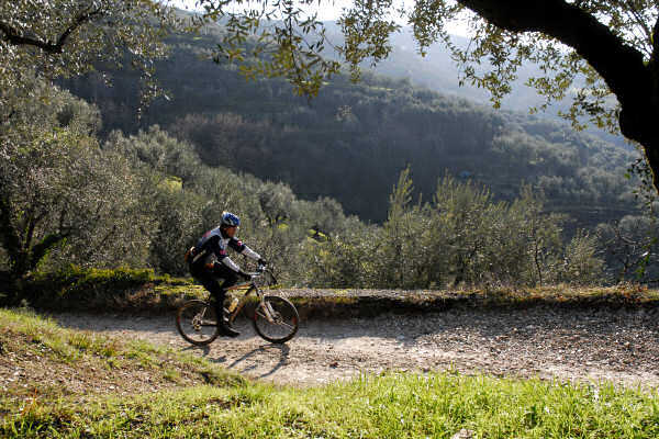 Valpantena, Santa Maria in Stelle