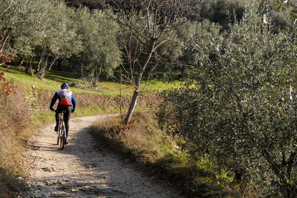 Valpantena, Santa Maria in Stelle