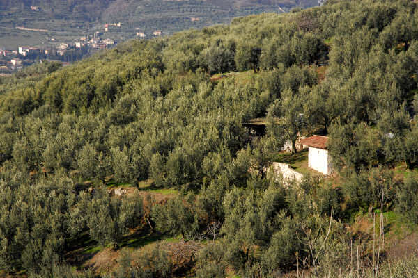 Valpantena, Santa Maria in Stelle