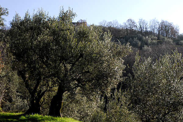 Valpantena, Santa Maria in Stelle