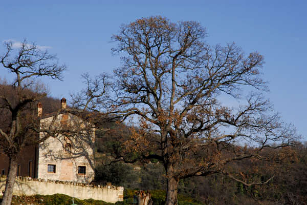 Valpantena, Santa Maria in Stelle