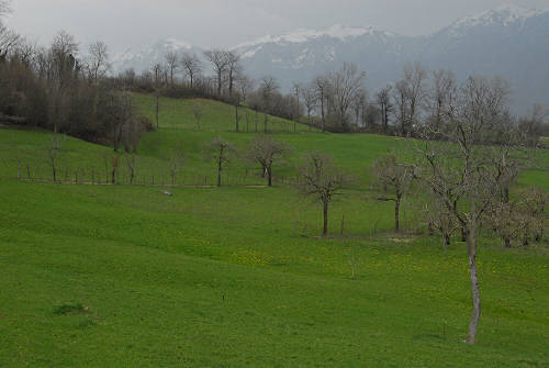 sentieri e paesaggi a Bolca di Vestenanova - Val d'Alpone, Lessinia Orientale