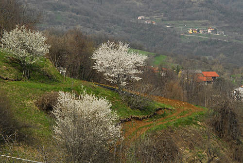 sentieri e paesaggi a Bolca di Vestenanova - Val d'Alpone, Lessinia Orientale