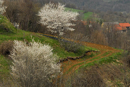 sentieri e paesaggi a Bolca di Vestenanova - Val d'Alpone, Lessinia Orientale