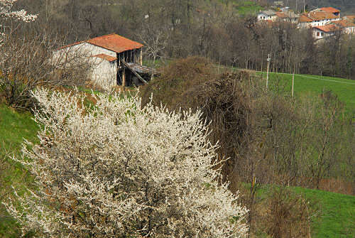 sentieri e paesaggi a Bolca di Vestenanova - Val d'Alpone, Lessinia Orientale